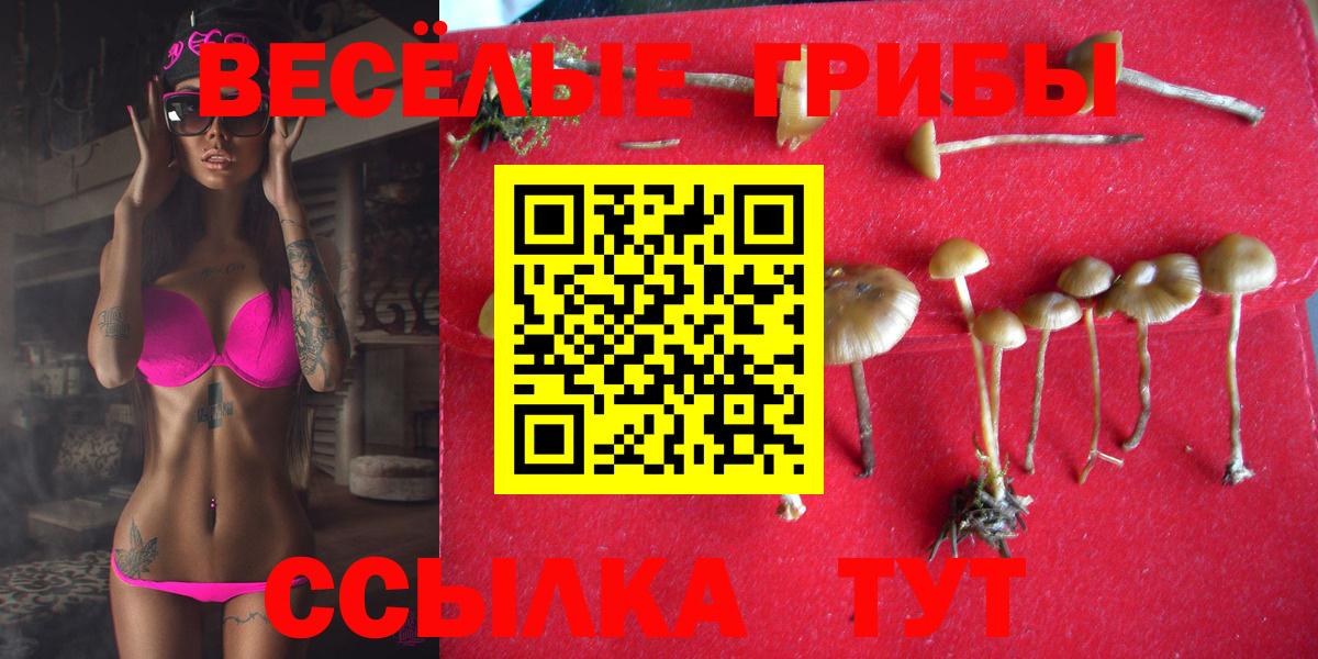 Галлюциногенные грибы прущие грибы Каменск-Уральский
