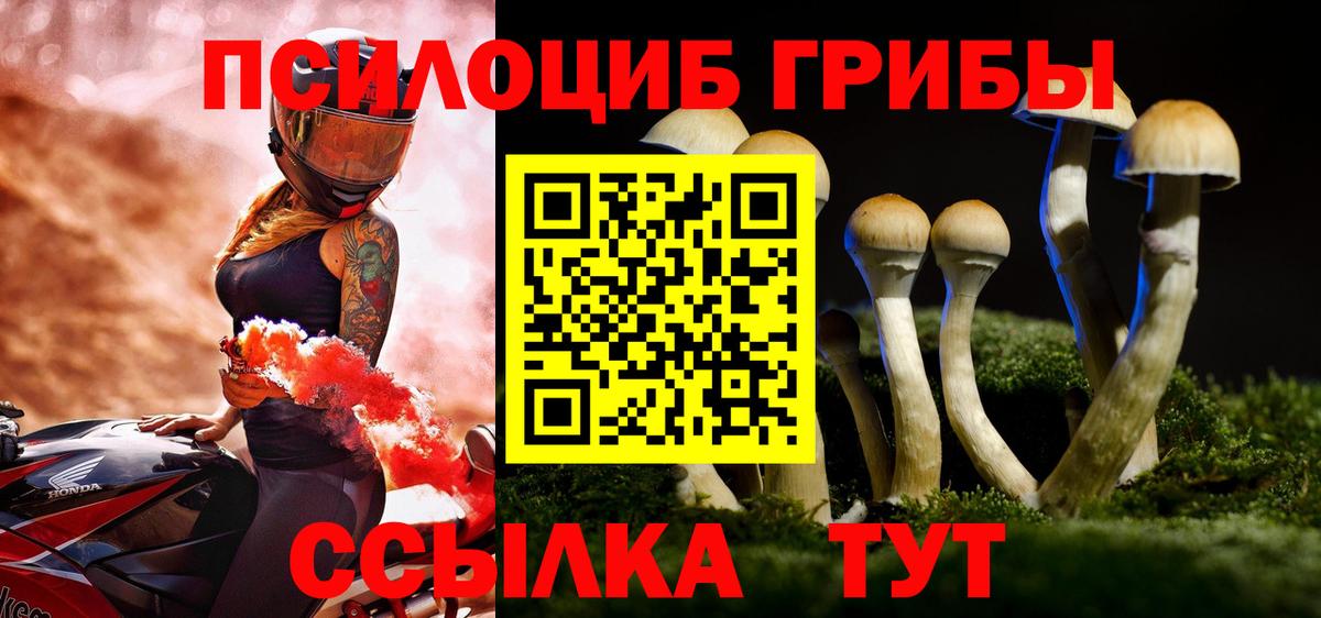 Галлюциногенные грибы прущие грибы  Вход с VPN  Псилоцибиновые грибы мицелий  Каменск-Уральский 